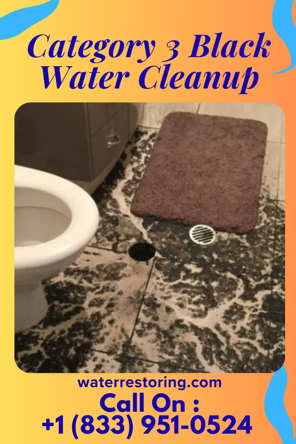 Category 3 Black Water Cleanup in Carbon, IN