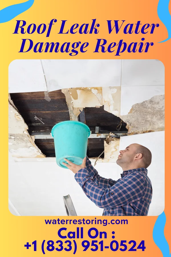 Roof Leak Water Damage Repair in Carbon, IN